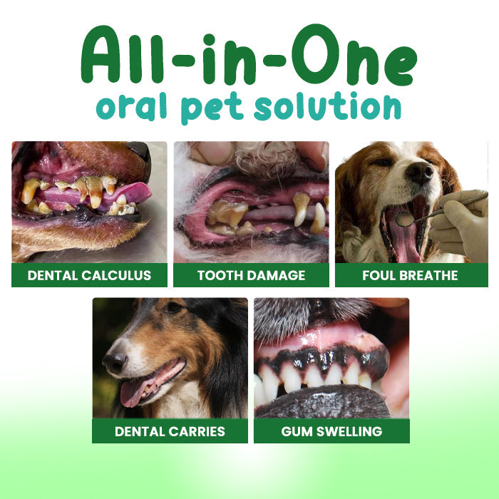 ✨Lotmay® FreshBreath Pet Oral Care Spray – 🦷3-Day Fresh Breath Solution 🐾