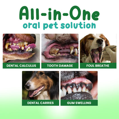 🏆✨RZXEA™ FreshBreath Pet Oral Care Spray – 🦷3-Day Fresh Breath Solution 🐾
