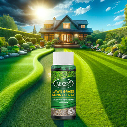 🏆Official Store | 💚Enhance The Natural Beauty Of Your Lawn 💚AEXZR® Green Lawn Grass Sunny Spray