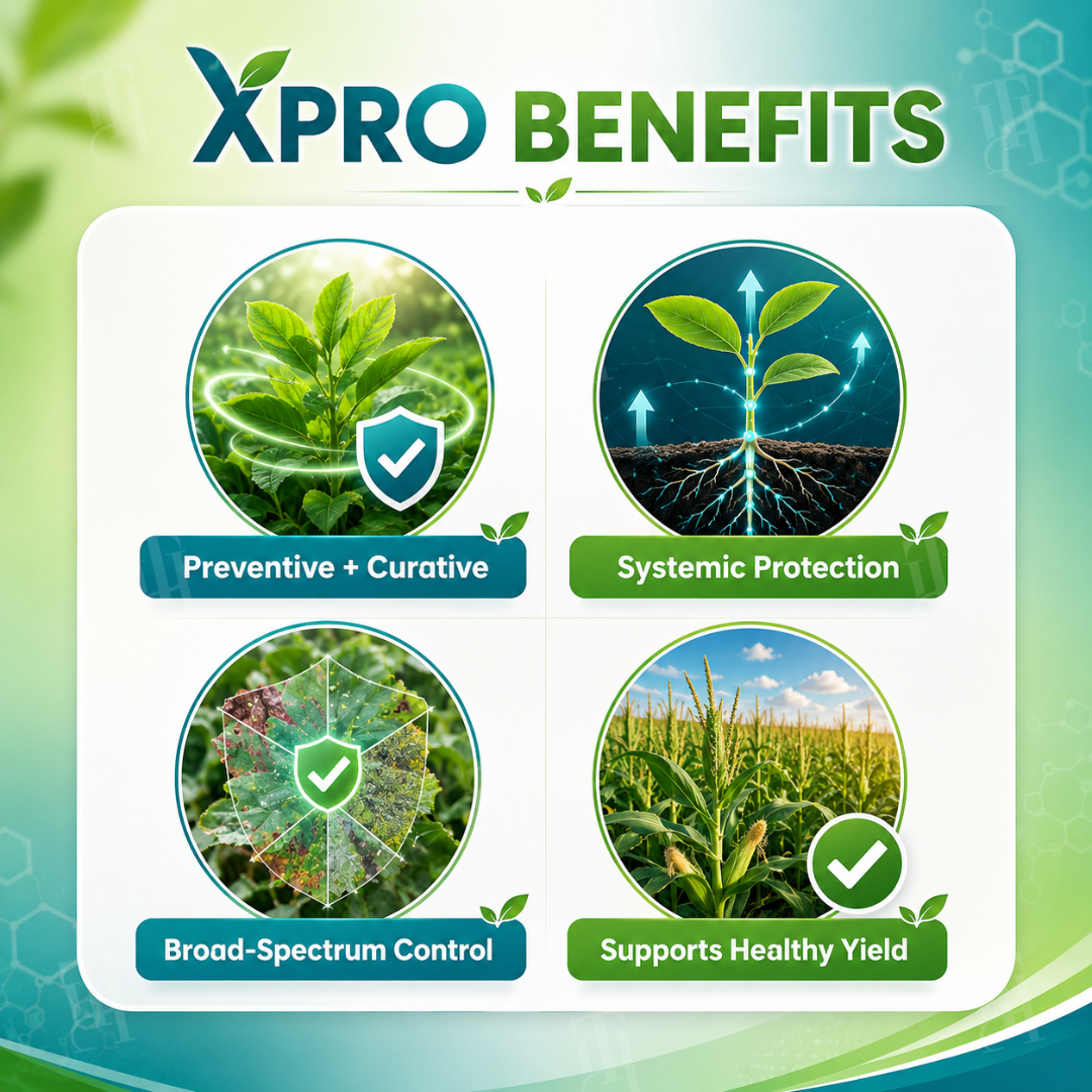 🏆Official Store | Limited Edition RZXEA™  Xpro Prothioconazole Systemic Fungicide