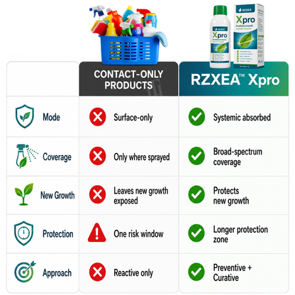 🏆Official Store | Limited Edition RZXEA™  Xpro Prothioconazole Systemic Fungicide