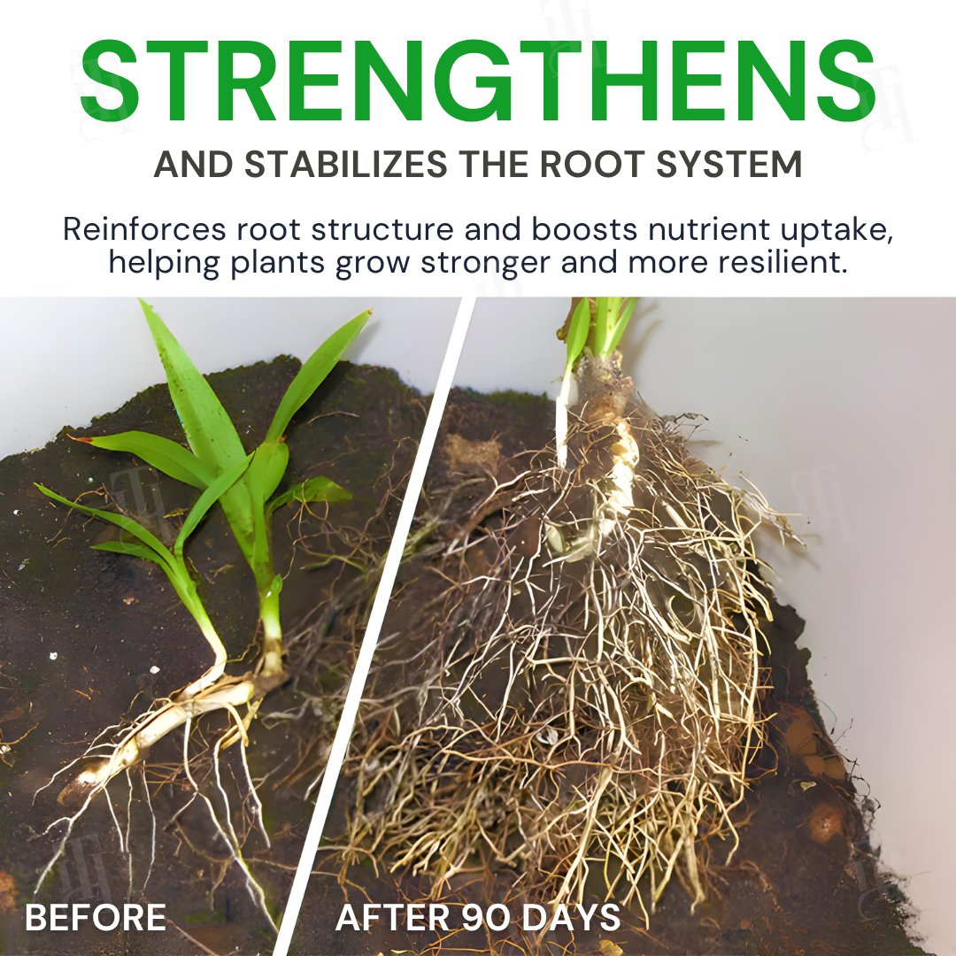 🌿AEXZR® Max-Power Fulvic Acids Fertilizer Sticks💧90-Day Continuous Plant Nutrition🌱