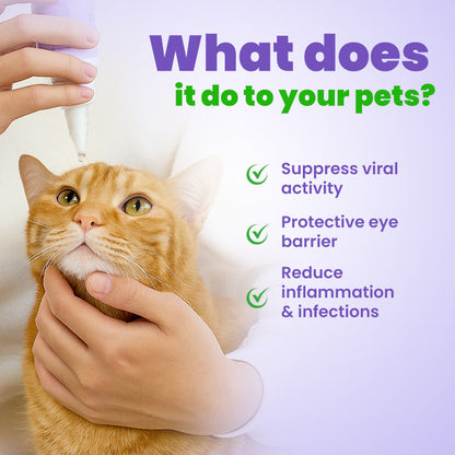 🛡️Lotmay® PetPro Eye Drops-😾Daily L-Lysine Drops for Feline Herpes & Eye Care🐾