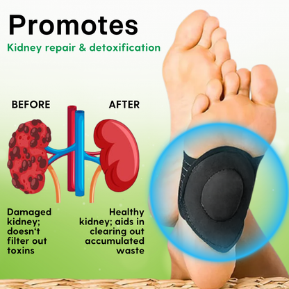 AEXZR™ Kidney Care Acupressure Pads