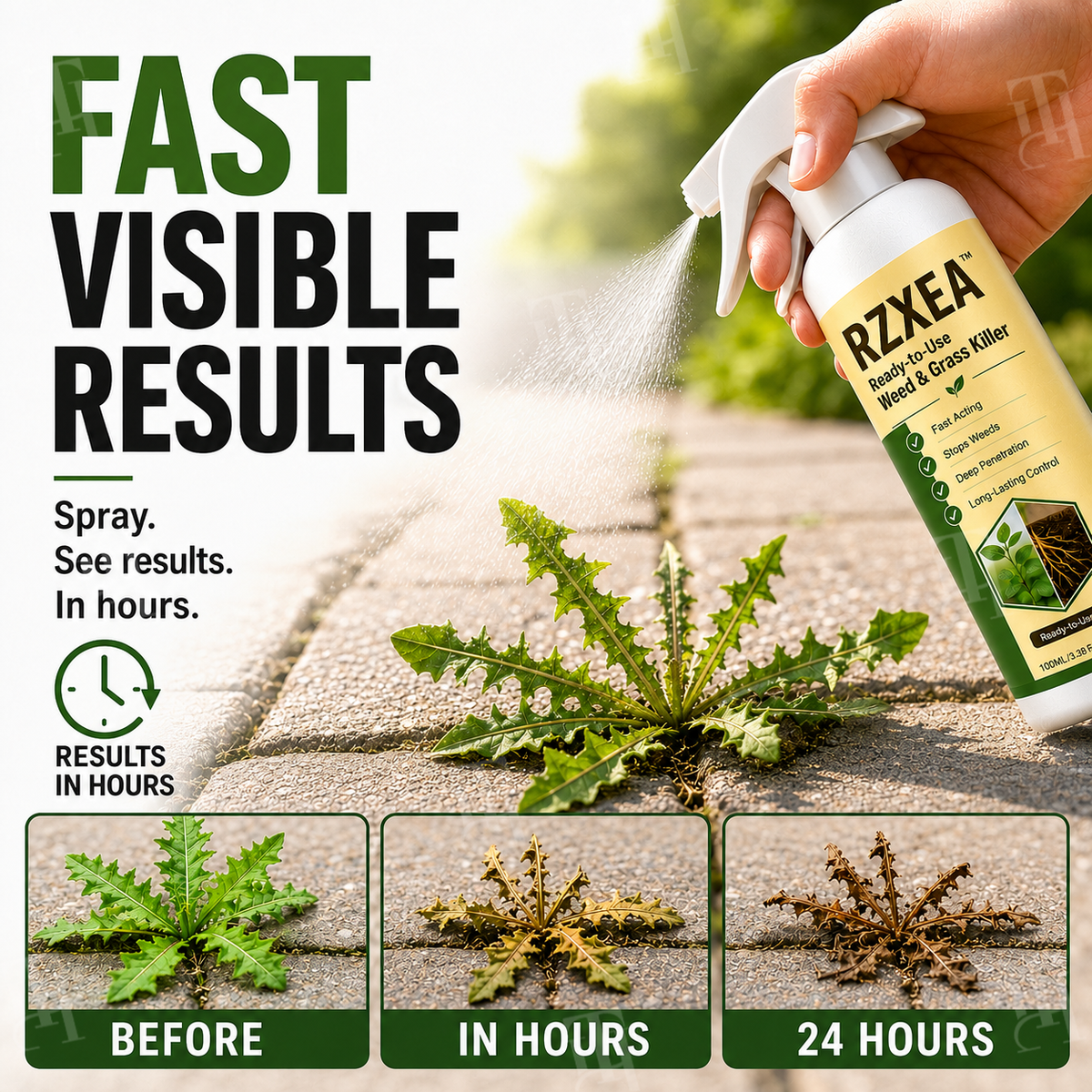 🎯 See a Weed? Spray It. RZXEA™ Ready-to-Use Weed & Grass Killer