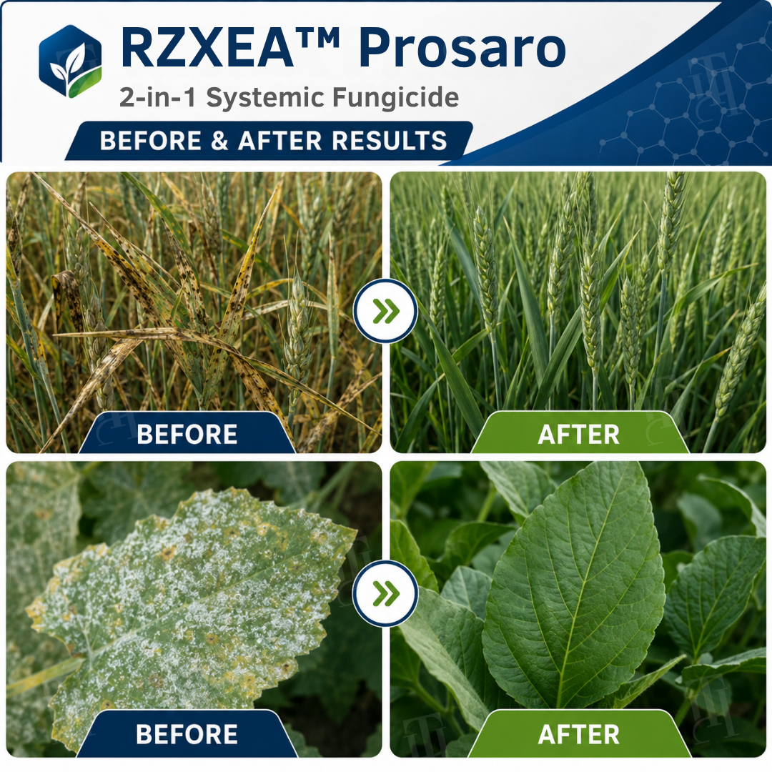Pain-Free 🍑—Guaranteed!  RZXEA™ Prosaro 2-in-1 Systemic Fungicide