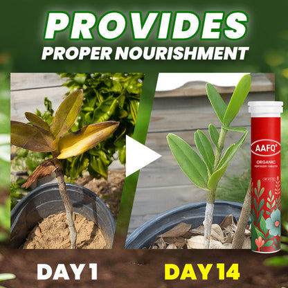 🏆🌱All-in-One Nutrient Boost | AAFQ® Organic Fertilizer Tablets- Slow Release Plant Food for 60 Days⭐️