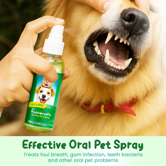 ✨Lotmay® FreshBreath Pet Oral Care Spray – 🦷3-Day Fresh Breath Solution 🐾