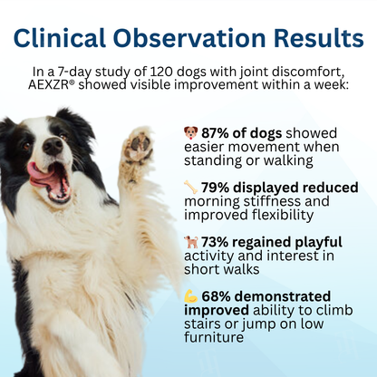 🐕 AEXZR® Pet Joint Health Revival Formula 🦴for Dog & Cat Joint Pain & Stiffness🐾