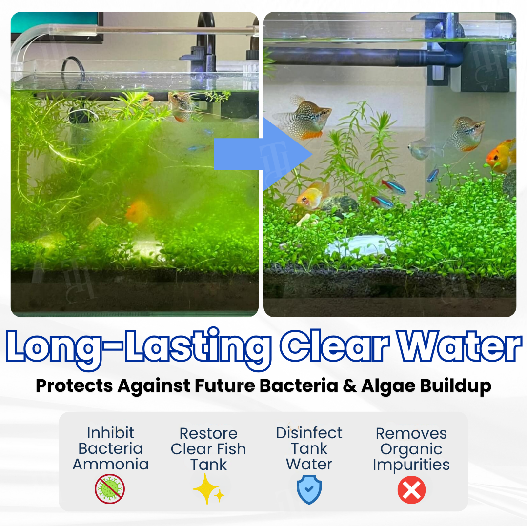✨AEXZR® Max-Power Aquarium Purification 🐠Tablet Bio-Cleaning, Reduces Water Changes🌊