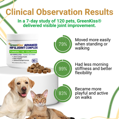 🏆🐕GreenKiss® Advanced Hip & Joint Complex Soft Chews 🦴 Turmeric + HA + Collagen🐕