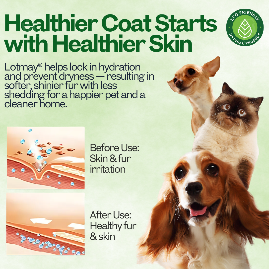 🐾Lotmay® 3 in 1 PhytoBarrier Pet Skin and Coat Care Spray-🧴Soothe, Repair & Protect Pet Skin🐕