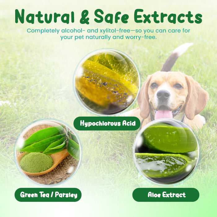 🏆✨RZXEA™ FreshBreath Pet Oral Care Spray – 🦷3-Day Fresh Breath Solution 🐾