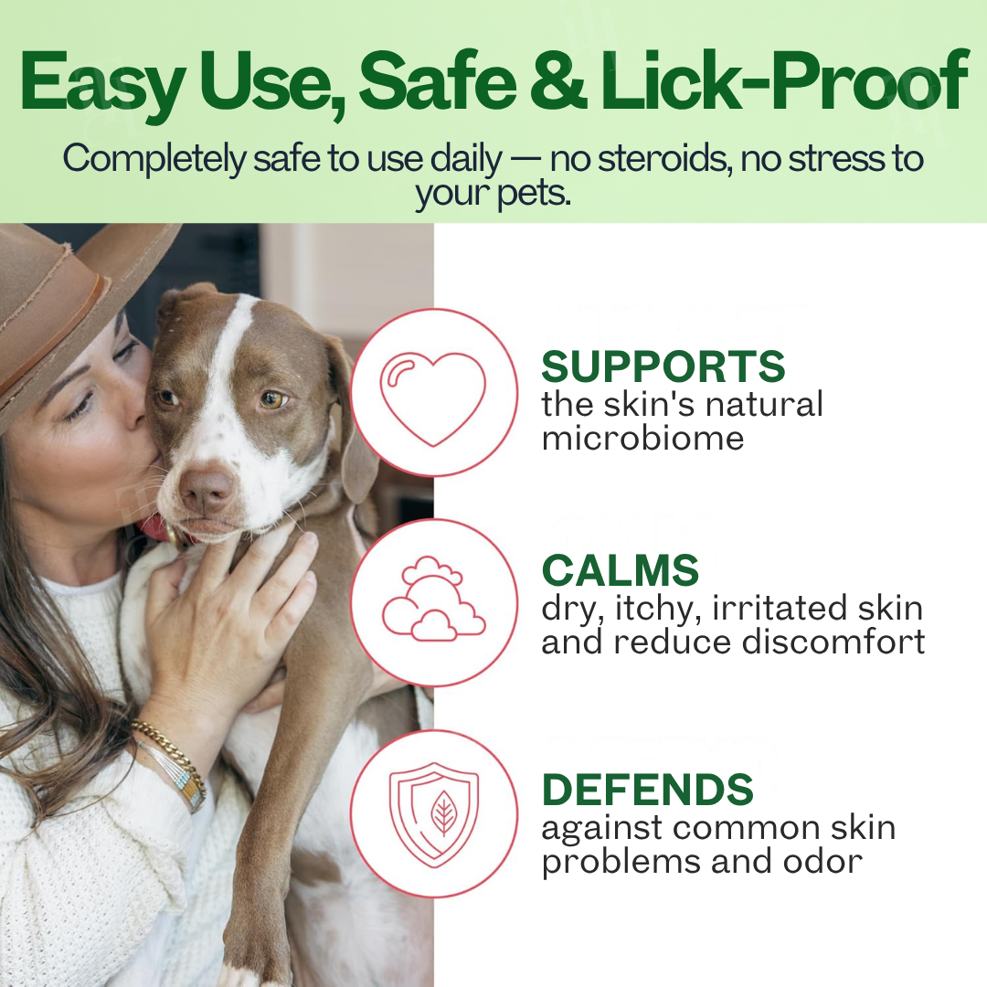 🐾Lotmay® 3 in 1 PhytoBarrier Pet Skin and Coat Care Spray-🧴Soothe, Repair & Protect Pet Skin🐕