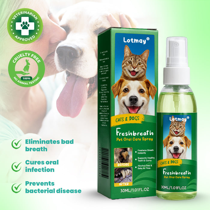 ✨Lotmay® FreshBreath Pet Oral Care Spray – 🦷3-Day Fresh Breath Solution 🐾
