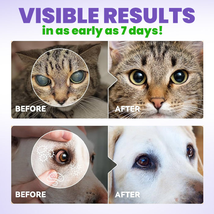 🛡️Lotmay® PetPro Eye Drops-😾Daily L-Lysine Drops for Feline Herpes & Eye Care🐾