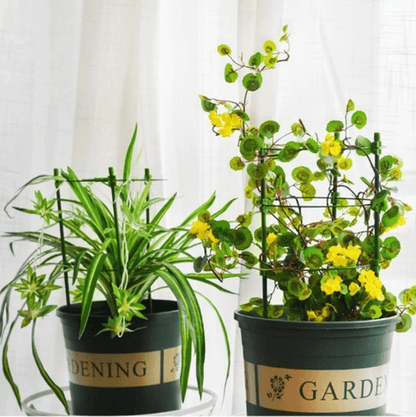 Durable Garden Plant Support Cage