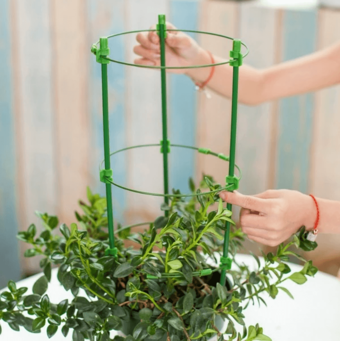 Durable Garden Plant Support Cage