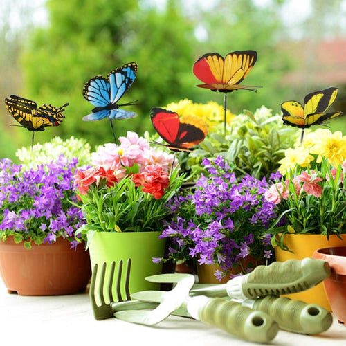 3D Double Layer Butterfly ( 25pcs /set)